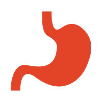 Gastro-Intestinal Tract